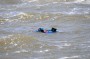 Thumbs/tn_Kite Board Open 2015 Zaterdag 168.jpg
